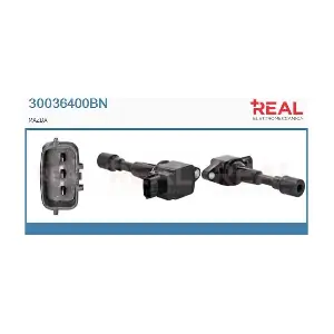REAL 30036400BN