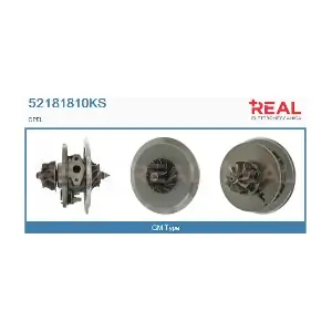 52181810KS REAL