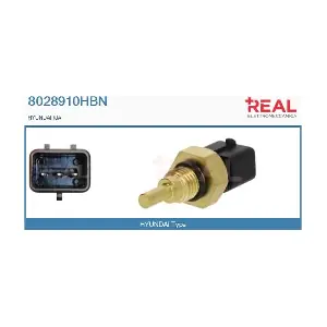 8028910HBN REAL