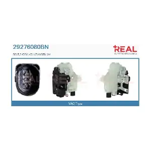 REAL 29276080BN