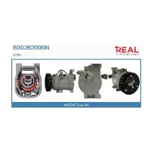 60036200BN REAL
