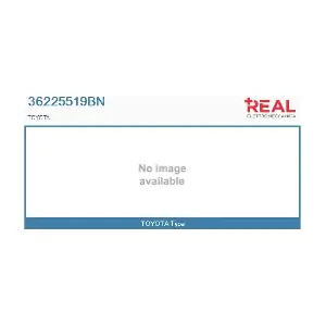 REAL 36225519BN