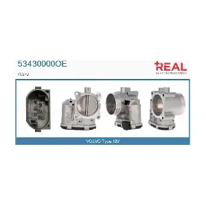 53430000OE REAL