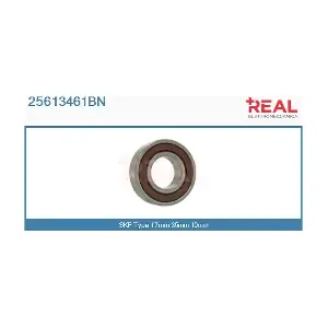 25613461BN REAL