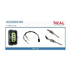 REAL 8028290FBN