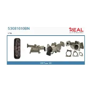53081610BN REAL