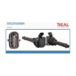 REAL 30025500BN