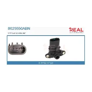 8025550ABN REAL