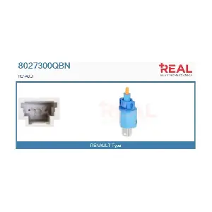 8027300QBN REAL