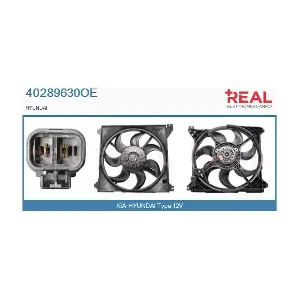REAL 40289630OE