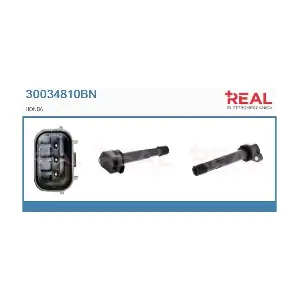 30034810BN REAL