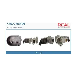 REAL 53027700BN