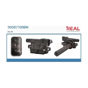 30087100BN REAL