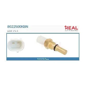 8022500KBN REAL