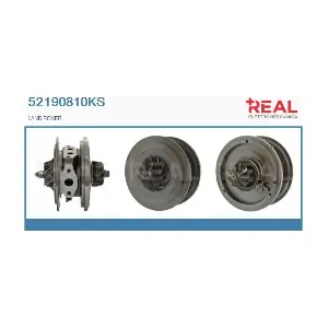 52190810KS REAL