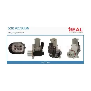 REAL 53076530BN