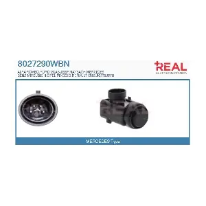 8027290WBN REAL