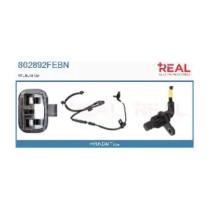 802892FEBN REAL