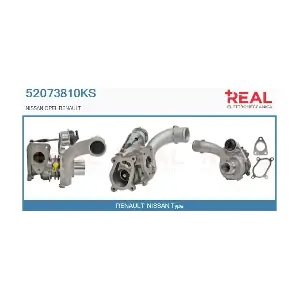 52073810KS REAL