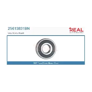 REAL 25613831BN