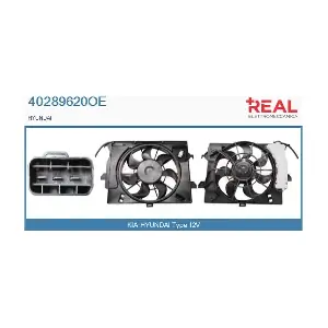 40289620OE REAL