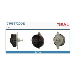 53081720OE REAL