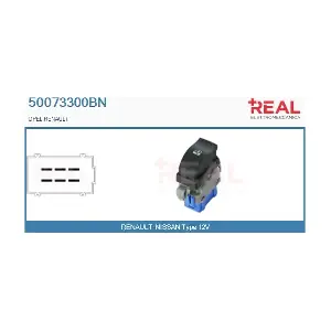 50073300BN REAL
