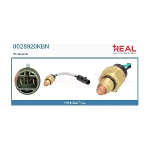 8028920KBN REAL
