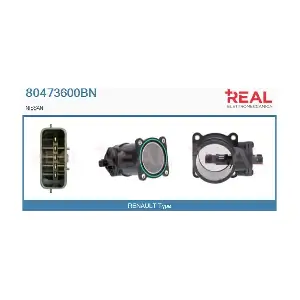 80473600BN REAL