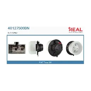40127500BN REAL