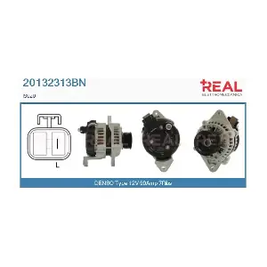 20132313BN REAL
