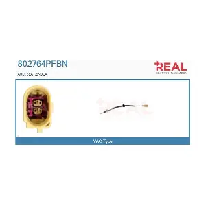 802764PFBN REAL