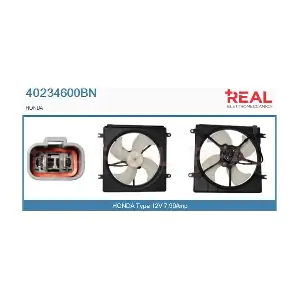 REAL 40234600BN