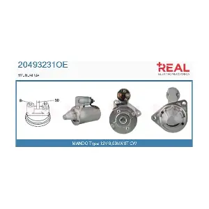20493231OE REAL