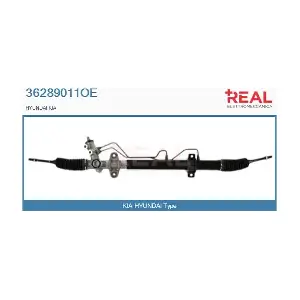 36289011OE REAL