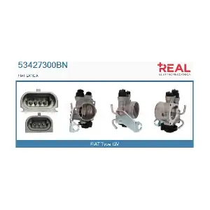 REAL 53427300BN