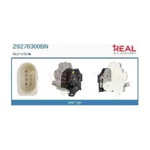 29276300BN REAL