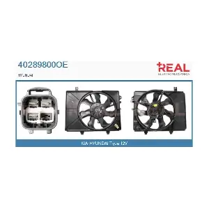 40289800OE REAL