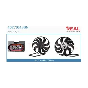 40276313BN REAL
