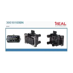 REAL 30010100BN