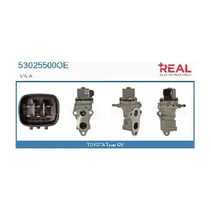 53025500OE REAL