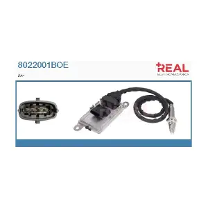 8022001BOE REAL