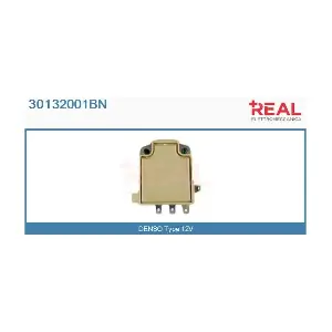 REAL 30132001BN