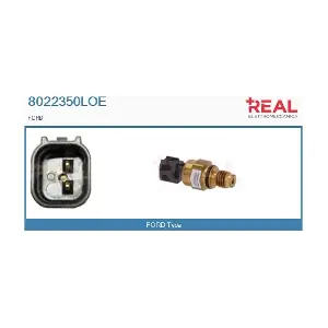 8022350LOE REAL
