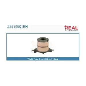 28579501BN REAL