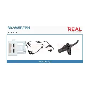 802895BEBN REAL