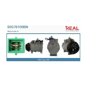 60076100BN REAL