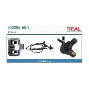 8028951EBN REAL