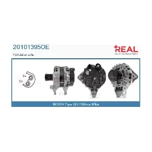 REAL 20101395OE