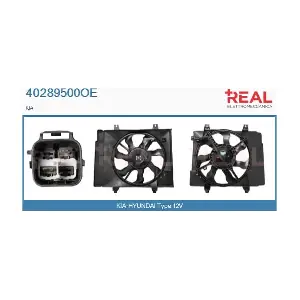 40289500OE REAL